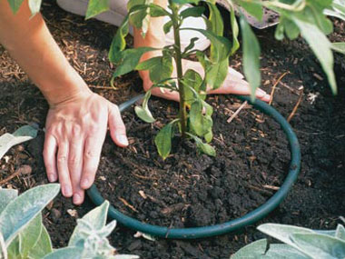 tips-for-easier-gardening-03-planter-sl